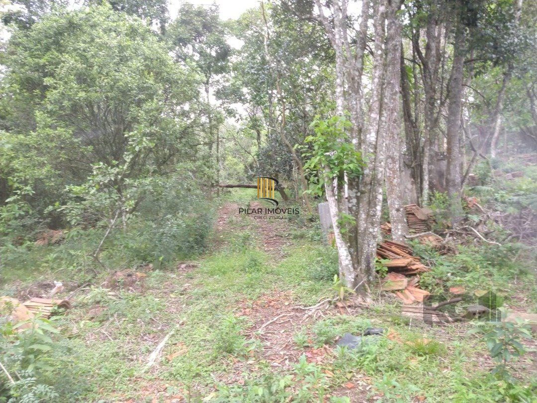 Área 4,69ha | Bairro Belém Velho