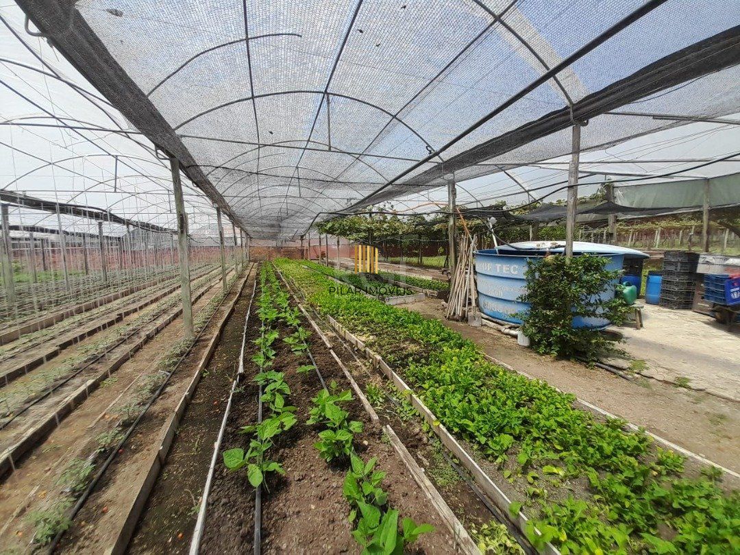 SÍTIO DENTRO DE PORTO ALEGRE 6.629,10 metros quadrados de área no bairro Campo Novo.