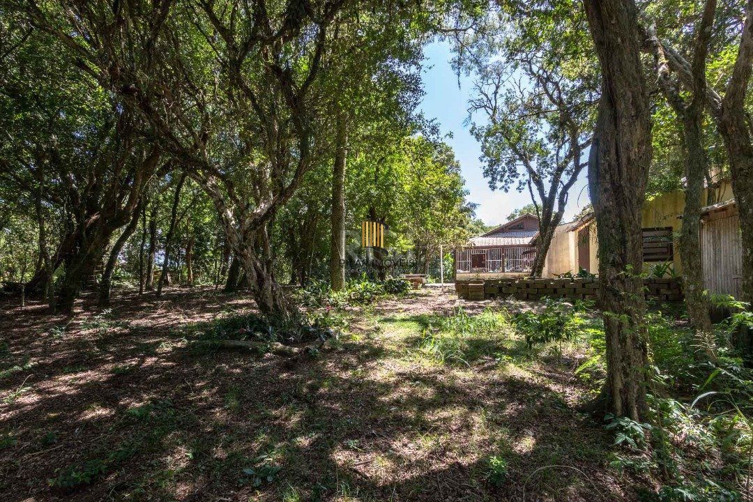 Casa comercial ou residencial, 04 dormitórios no bairro Belem Novo