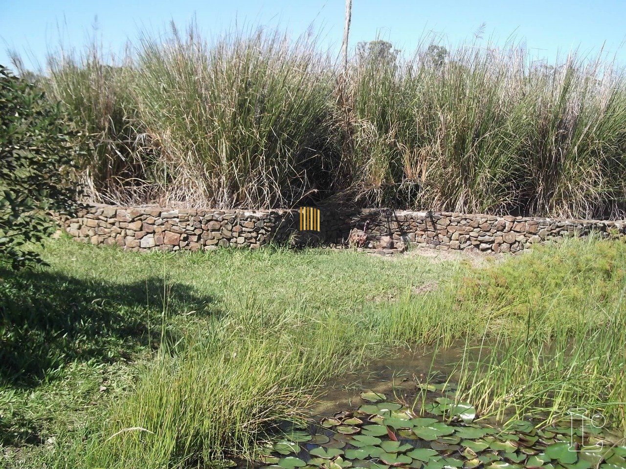 Sítio para Venda - 30000m², 2 dormitórios, Passo Do Vigário