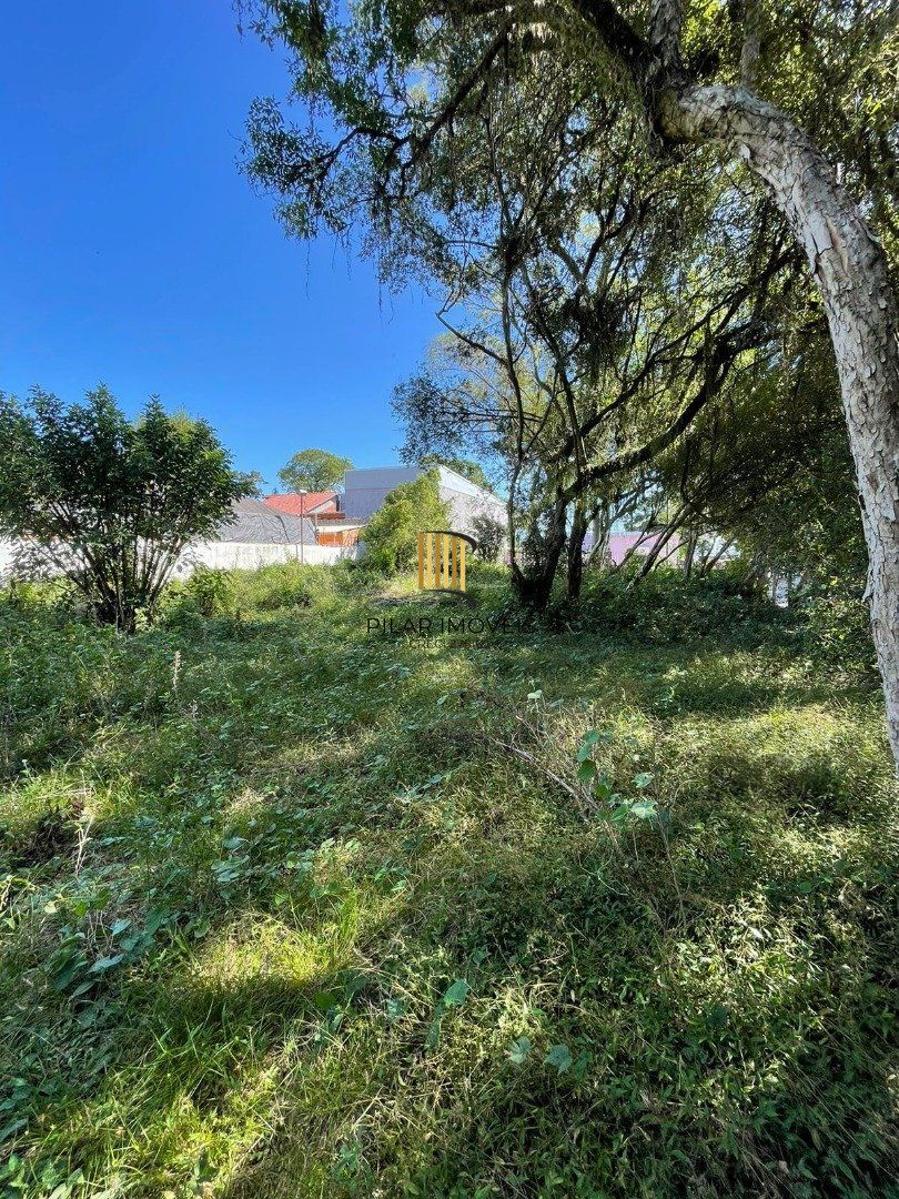 Terreno no bairro Ipanema