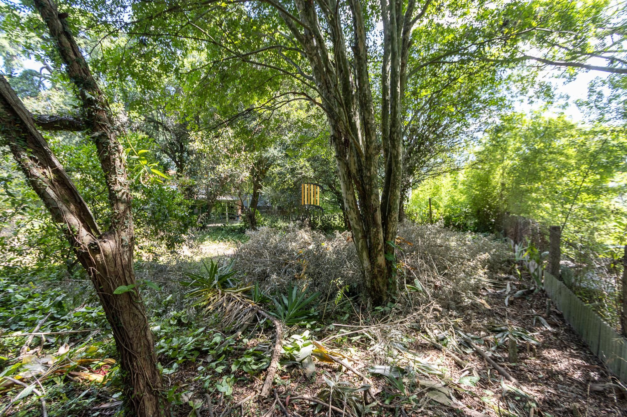 Terreno  bairro Ipanema