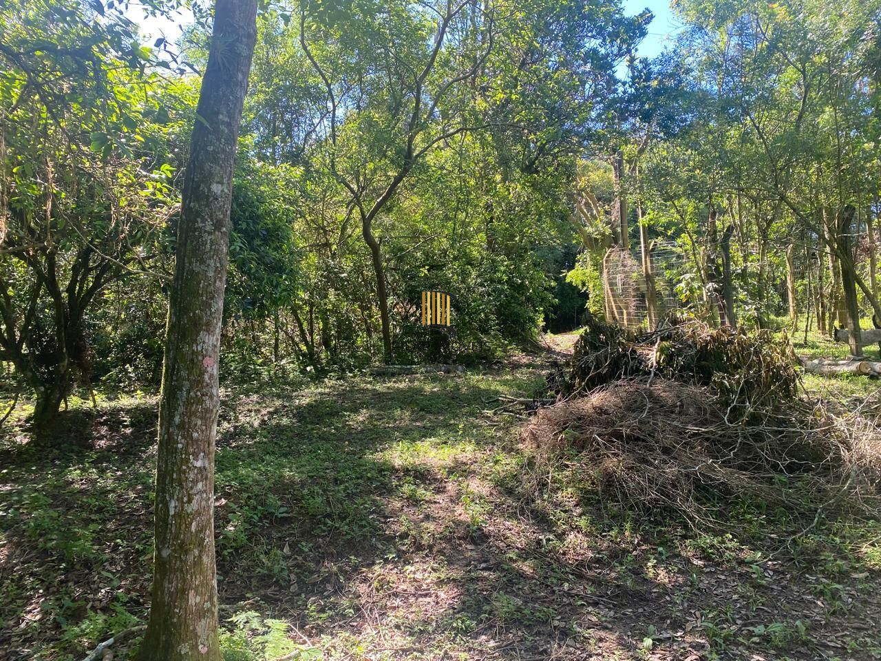 Excelente terreno!