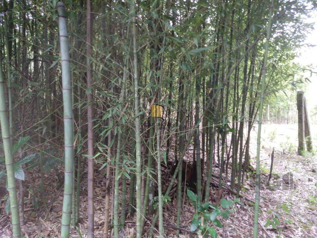 Área 4,69ha | Bairro Belém Velho