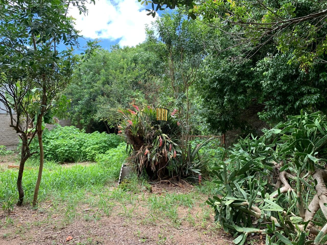 Sossego e natureza em Porto Alegre: 3 quartos, piscina e quase 2000m² de área