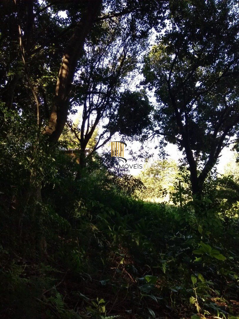 Terreno no bairro Cascata