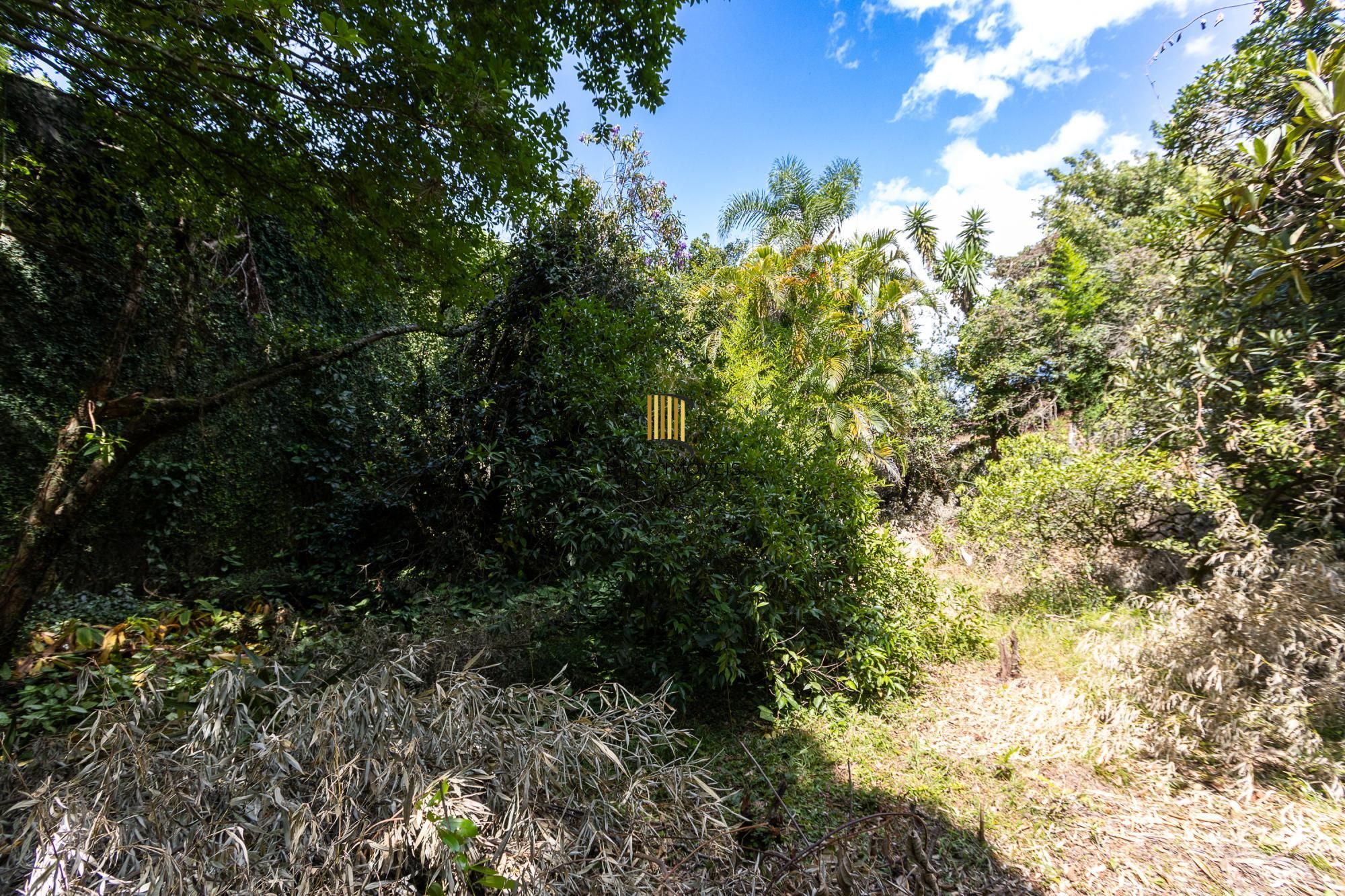 Terreno  bairro Ipanema