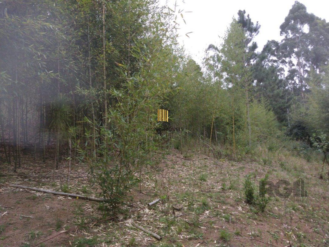 Área 4,69ha | Bairro Belém Velho