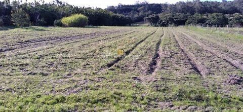 Terreno no bairro Lageado