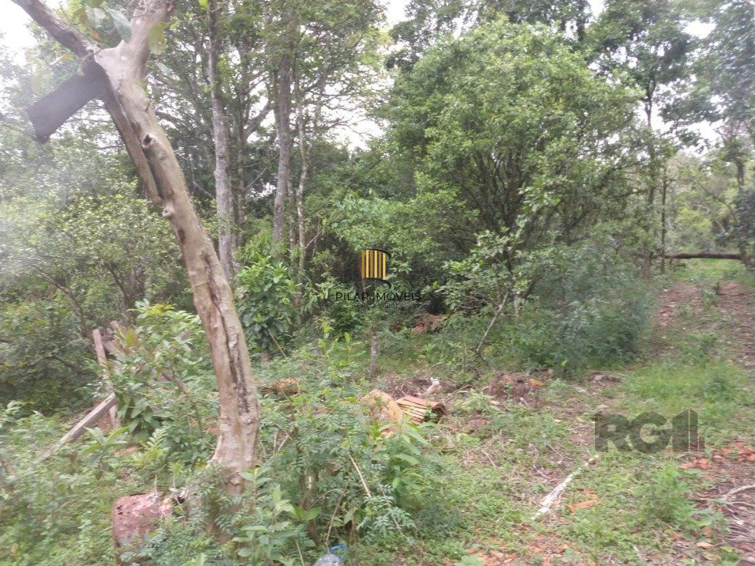 Área 4,69ha | Bairro Belém Velho