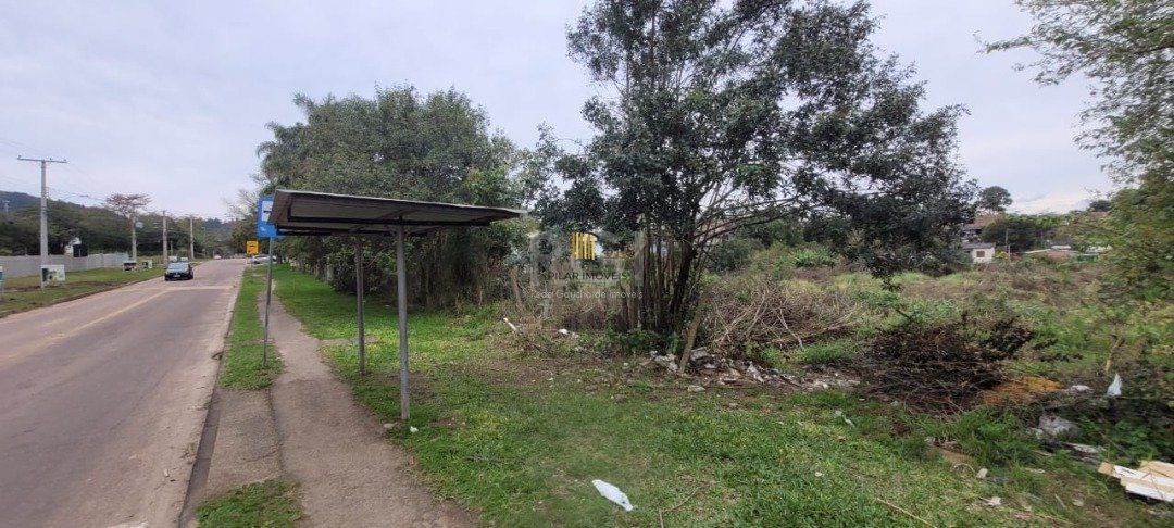 Terreno para Venda - 3.037m² no bairro Campo Novo