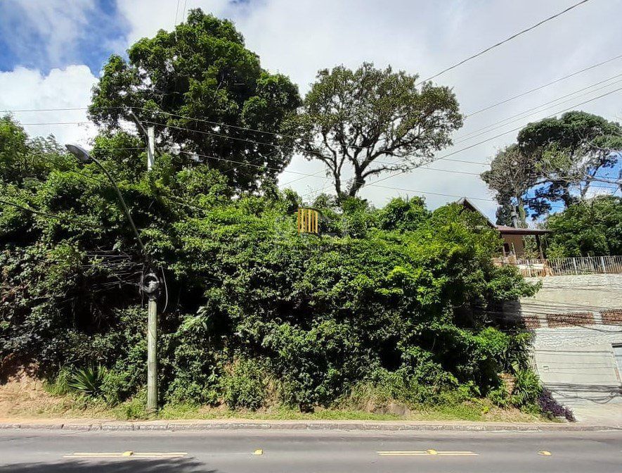 Terreno para Venda - 201m² - Vila Conceição