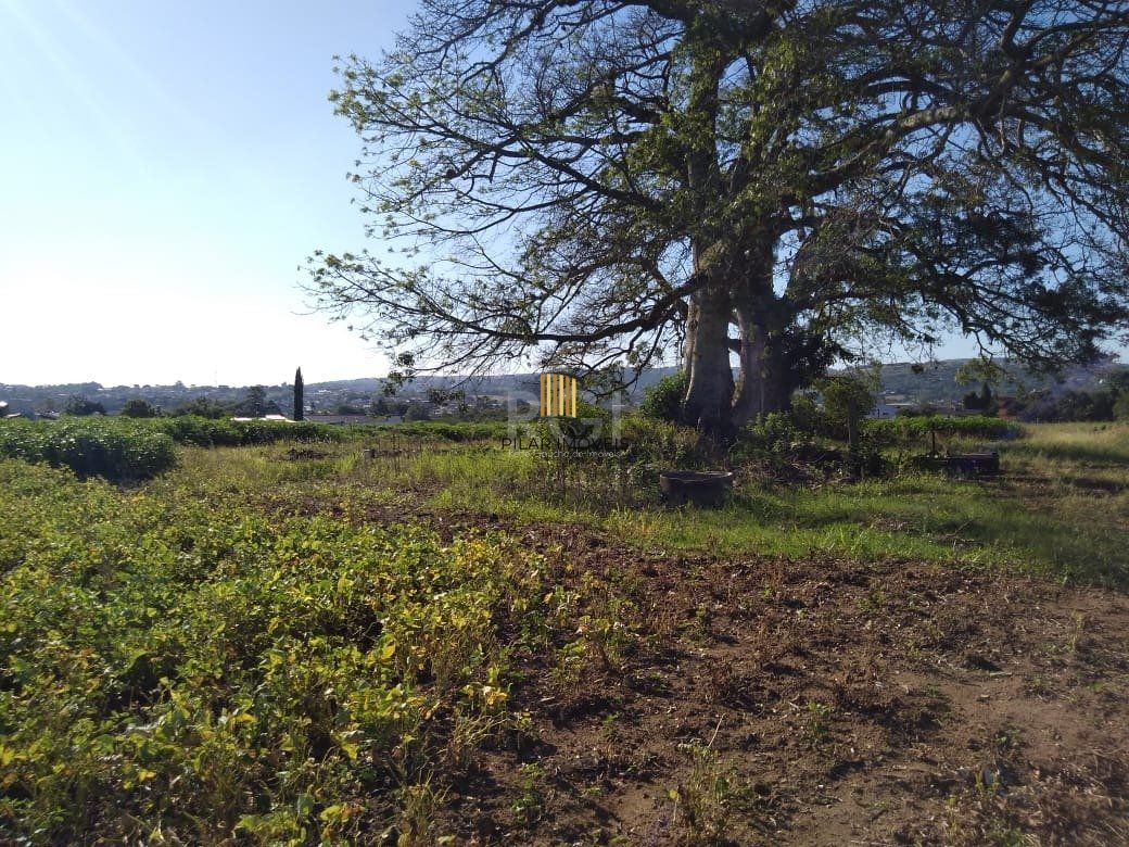 Area para Venda - 36.900m² - Campo Novo