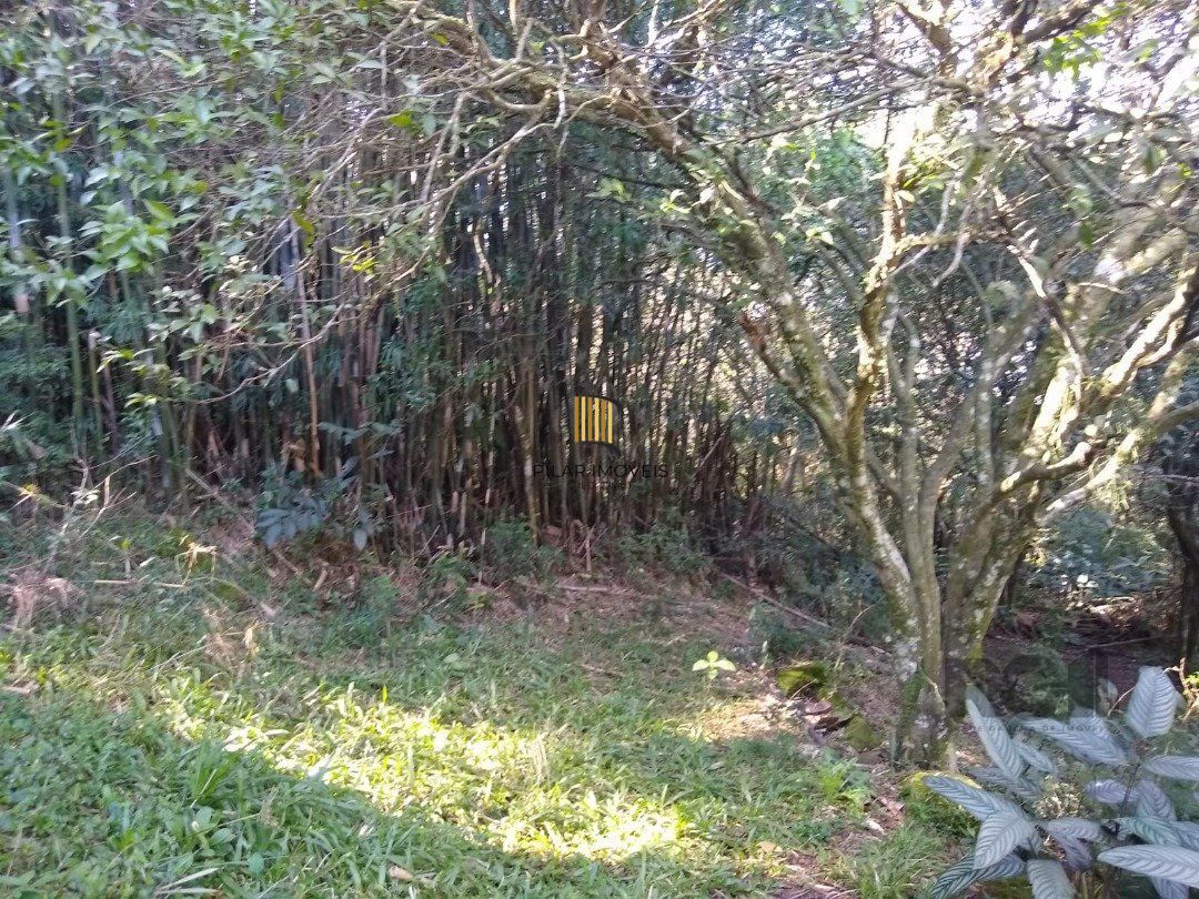 Terreno no bairro Cascata