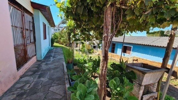 Terreno com 10,00 X 61,60 - Bairro Tristeza