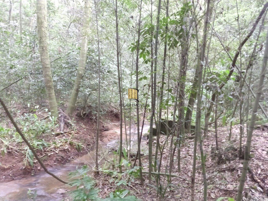 Área 4,69ha | Bairro Belém Velho
