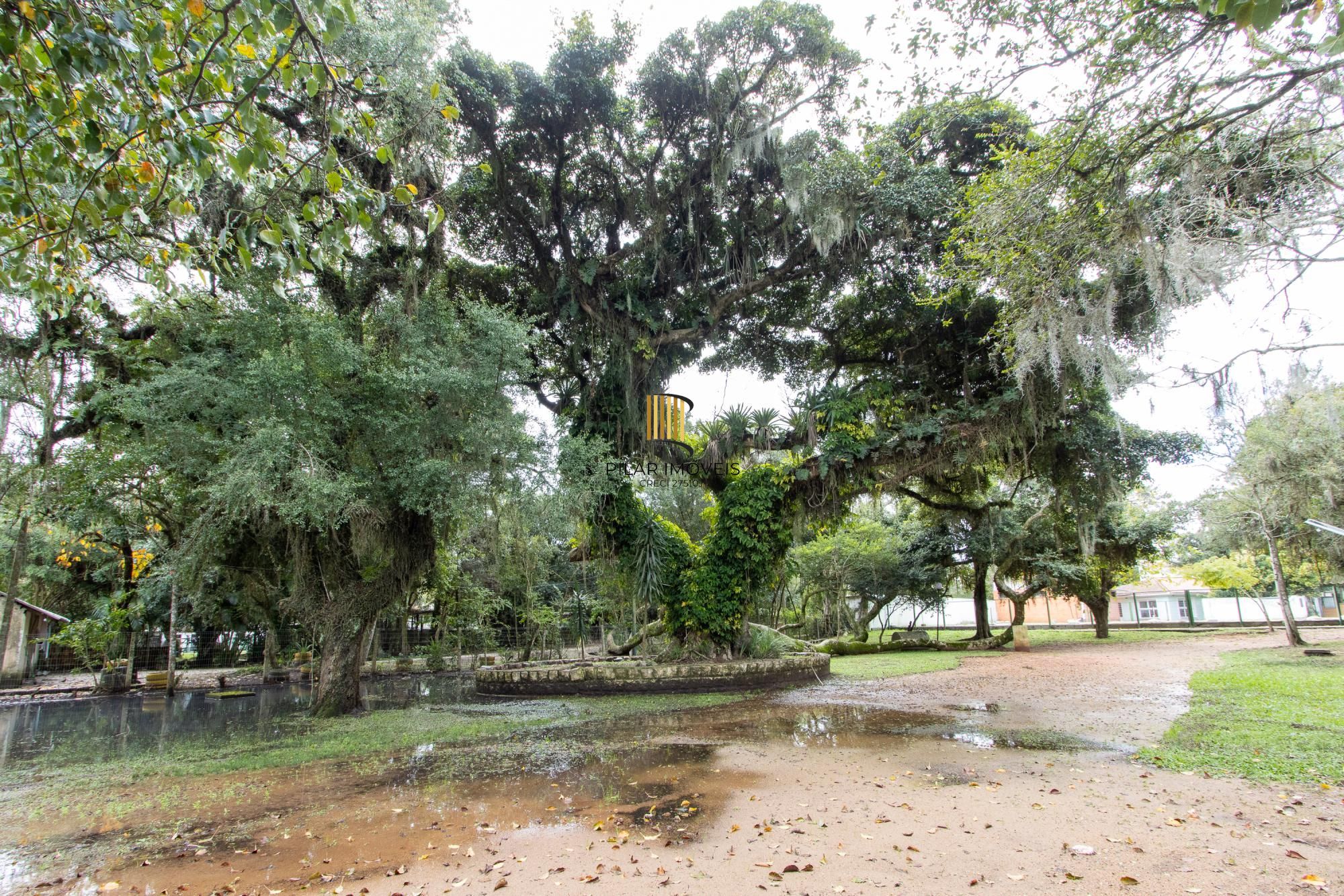 Terreno com edificações para múltiplos negócios lucrativos.
