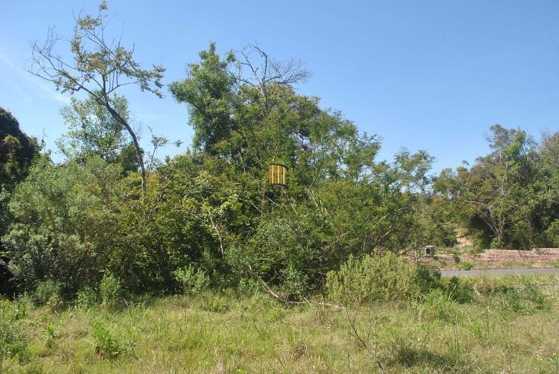 Terreno para Venda  com 930m² no bairro Espírito Santo