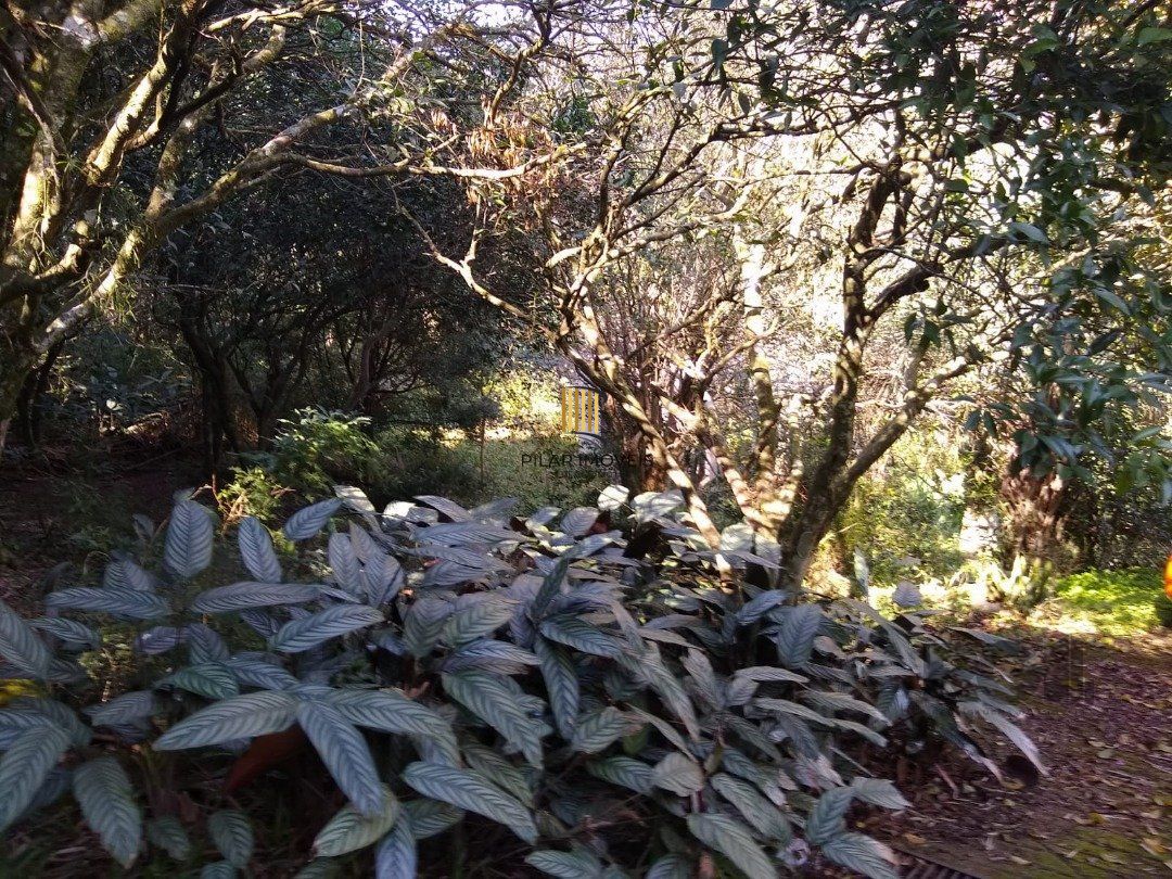 Terreno no bairro Cascata