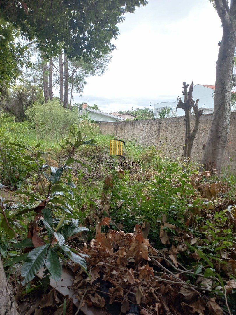 Terreno para Venda - 2167m², 0 dormitórios, Ipanema