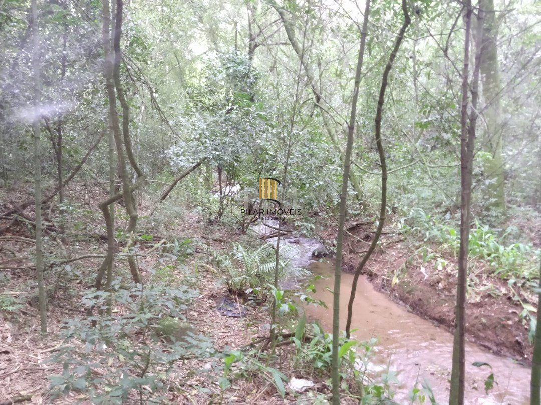 Área para Venda - 11,39ha, bairro Belém Velho
