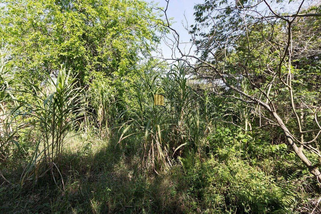 Terreno à venda em Chapéu do Sol, com área total de 345.03m².