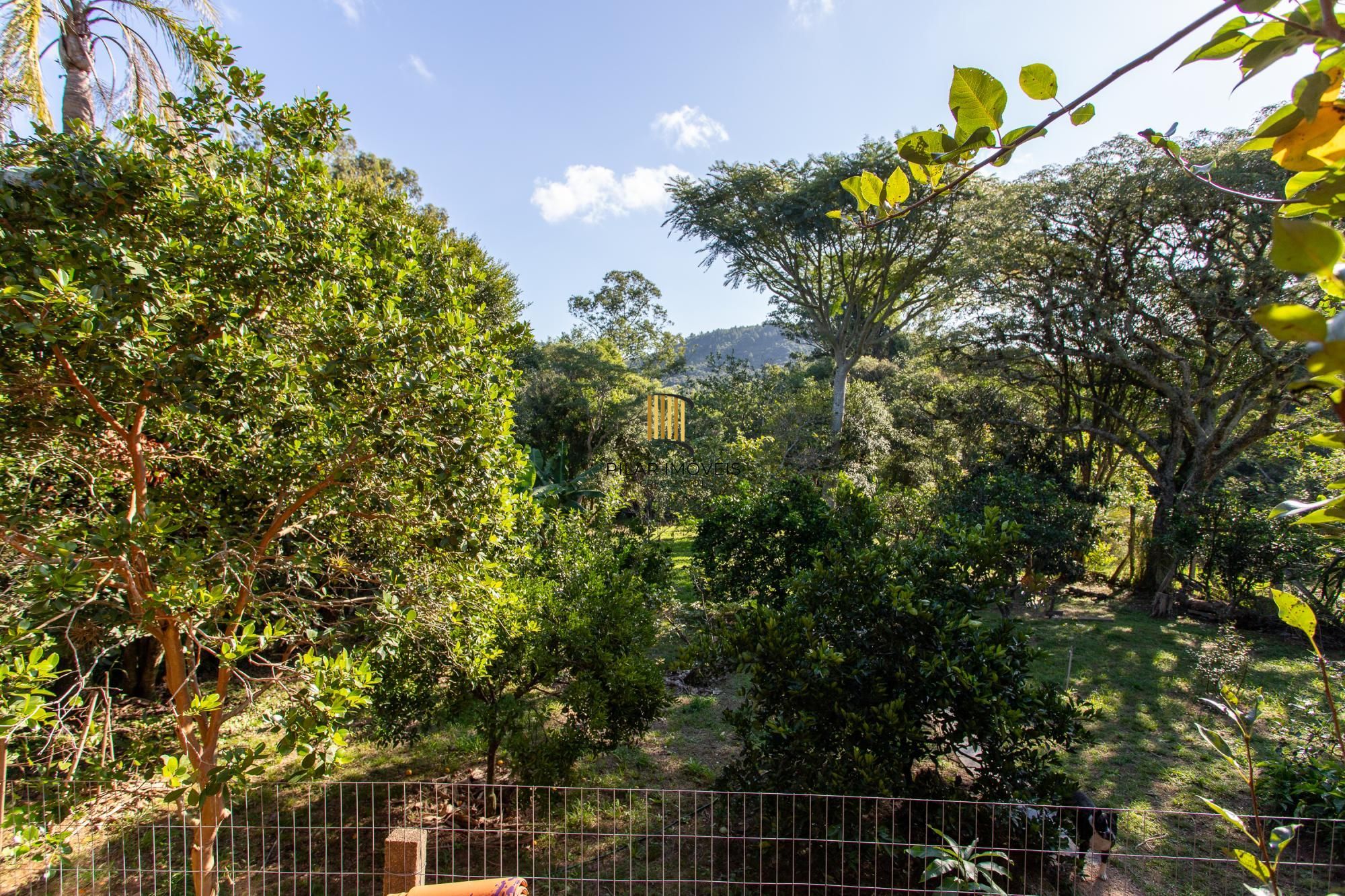 Sítio 1 dormitório no bairro Belém Velho