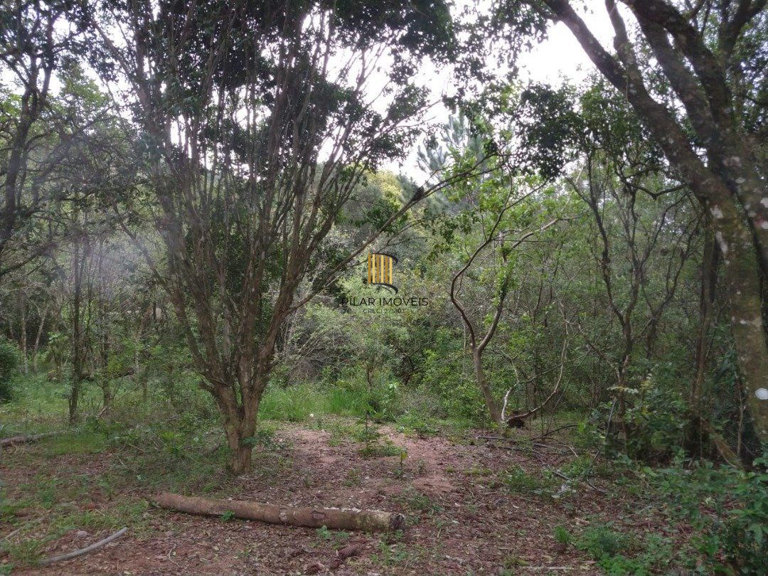 Área 4,69ha | Bairro Belém Velho