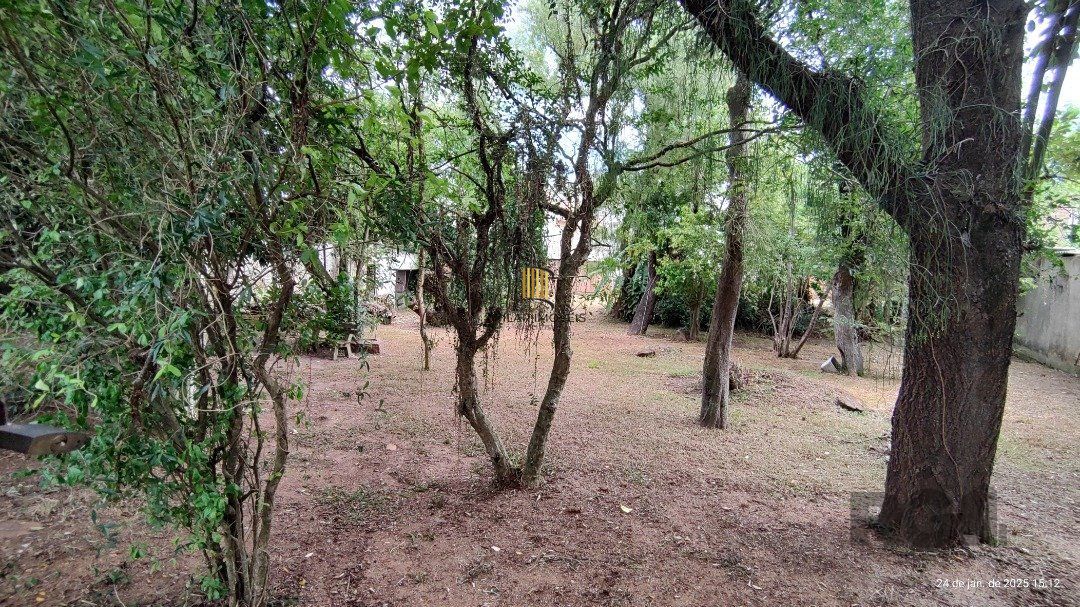 Terreno plano com 24,90m de frente, localizado no bairro Serraria.