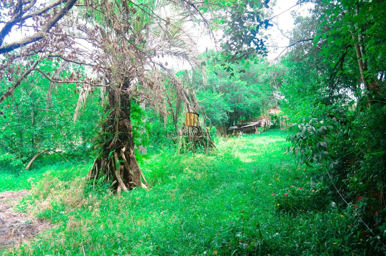 Sítio no bairro Bélem Velho com duas casas e loja comercial