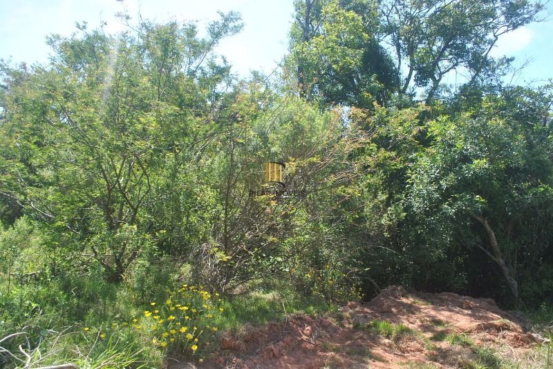 Terreno para Venda  com 930m² no bairro Espírito Santo