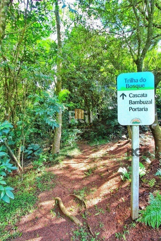 Apartamento 2 dormitórios  1 vaga infra - Nonoai