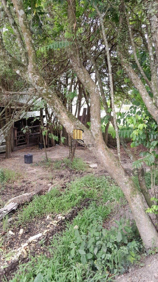 Terreno com 1.000m² , dimensões de 20x50,