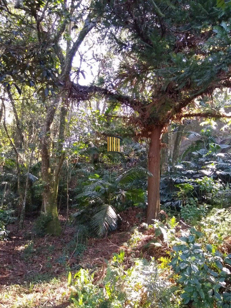 Terreno no bairro Cascata