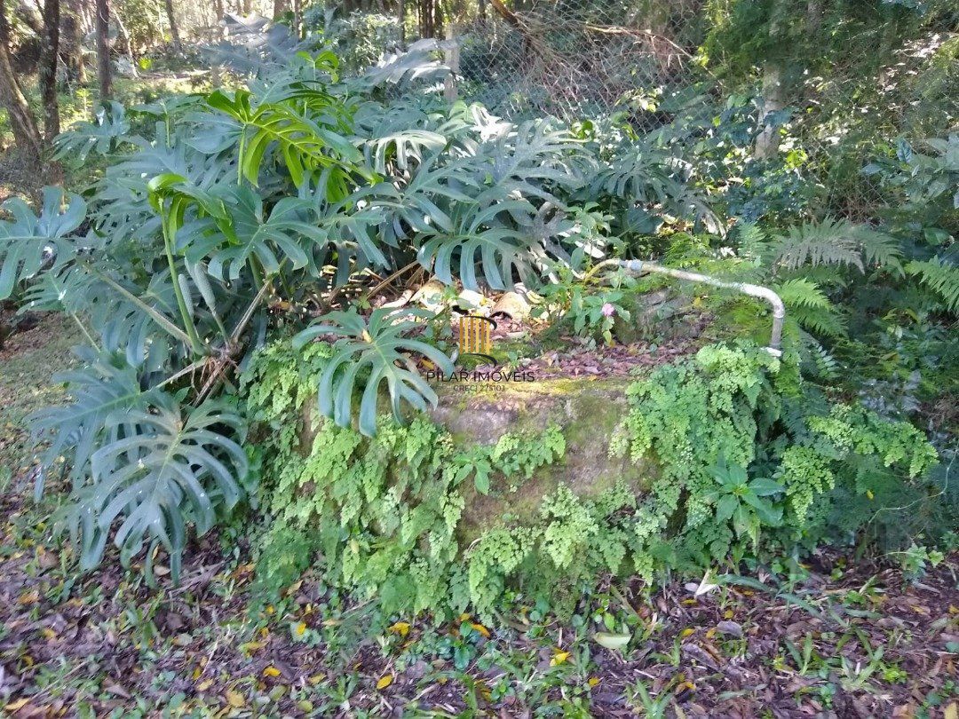 Terreno no bairro Cascata