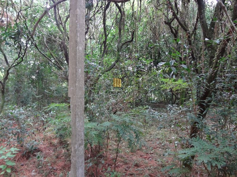 Terreno para Venda - 145.000m²,  Lami