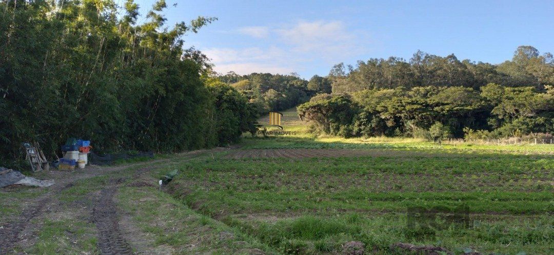Terreno no bairro Lageado