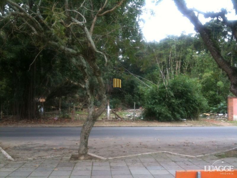 Terreno para Venda - 0m², 0 dormitórios, Serraria