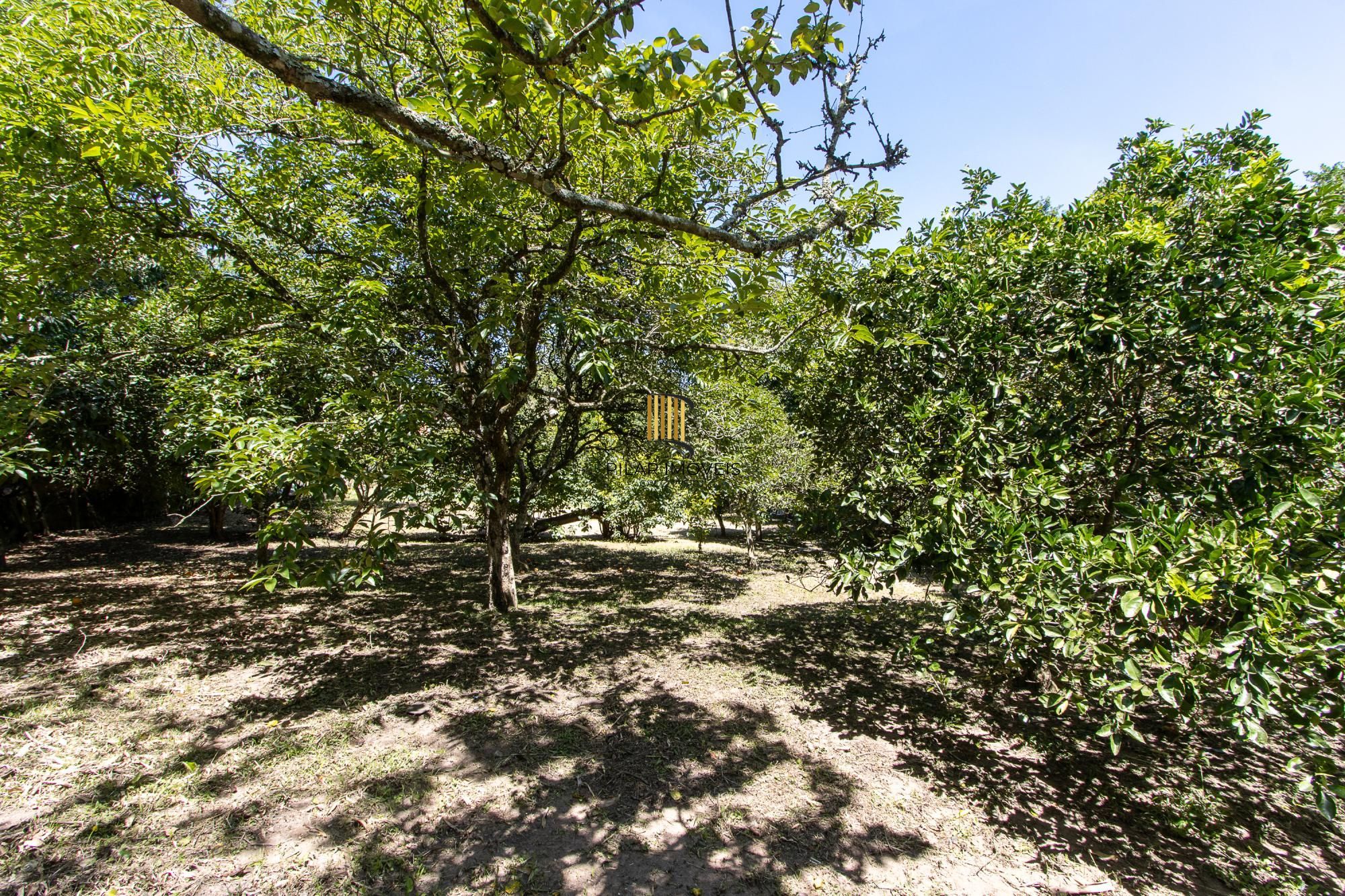 Casa 3 dormitórios no bairro Pitinga