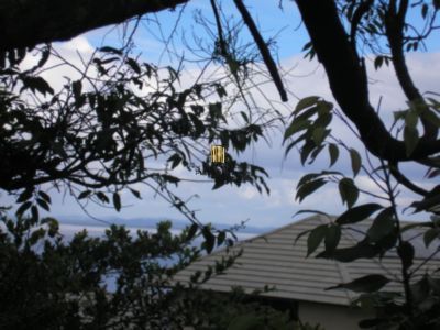 Casa para Venda - 422.67m², 3 dormitórios, sendo 1 suites, Ipanema