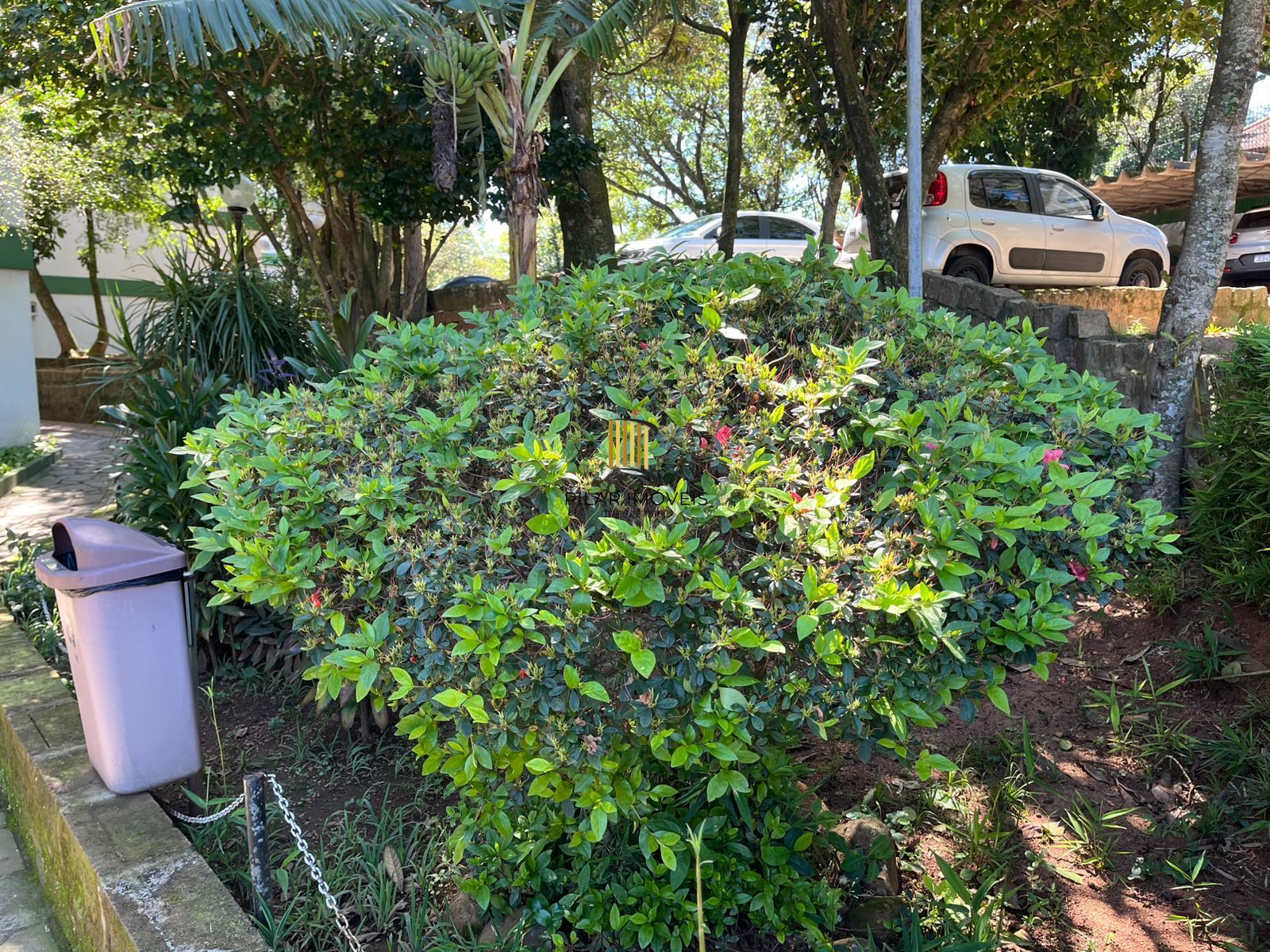 Apartamento 3 dormitórios no bairro Nonoai