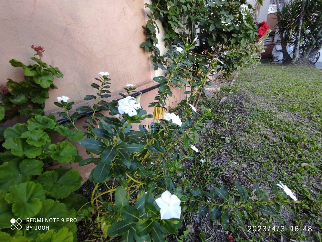 Apartamento 2 dormitórios no bairro Tristeza