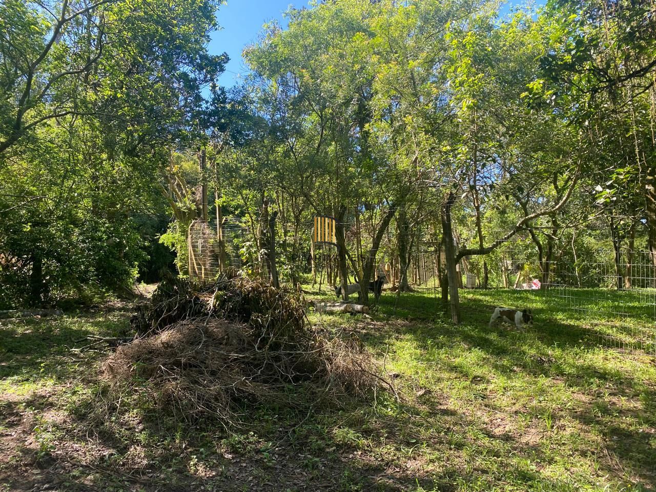 Excelente terreno!