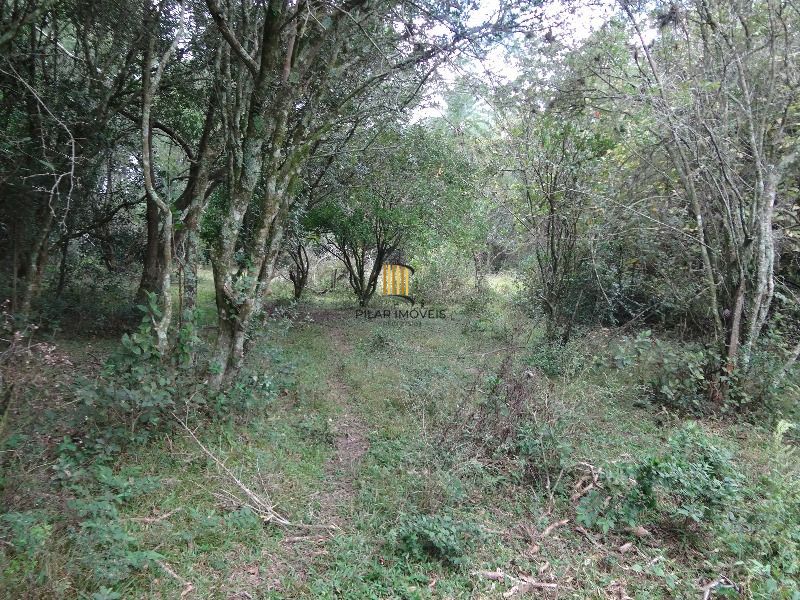Terreno para Venda - 145.000m²,  Lami