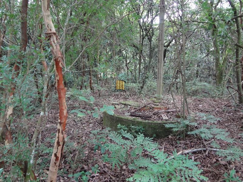 Terreno para Venda - 145.000m²,  Lami