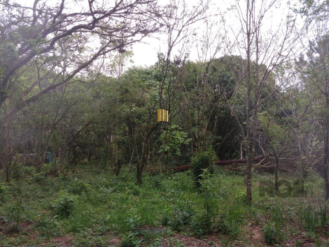 Área 4,69ha | Bairro Belém Velho