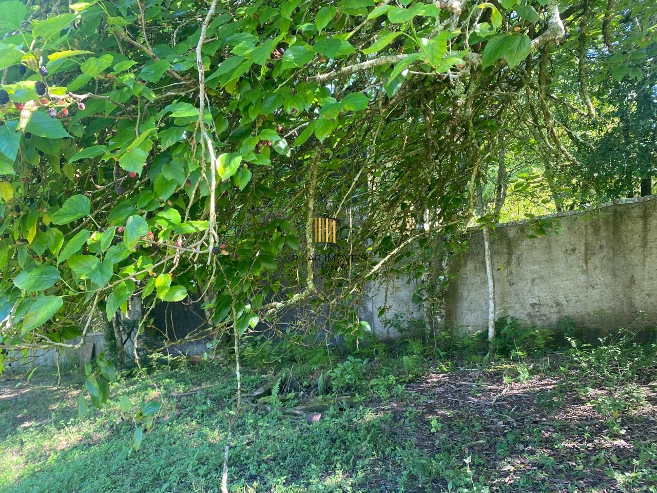Excelente terreno!