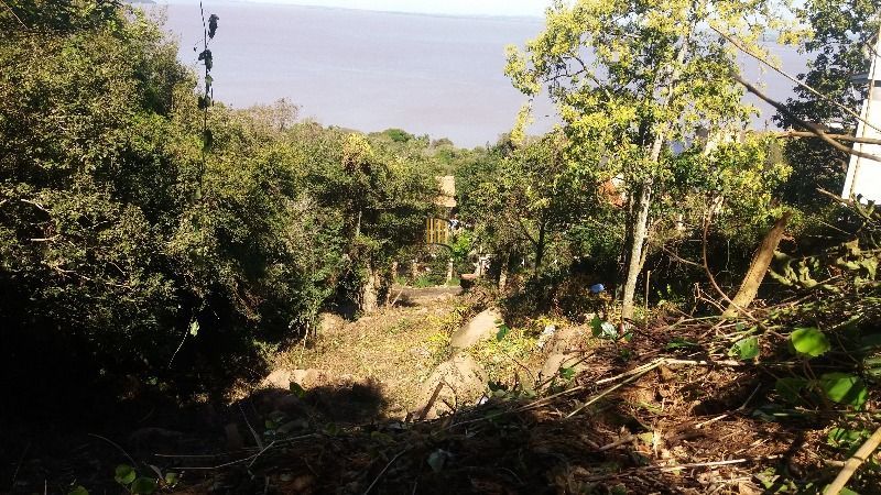 Terreno para Venda - 778m², Sétimo Céu