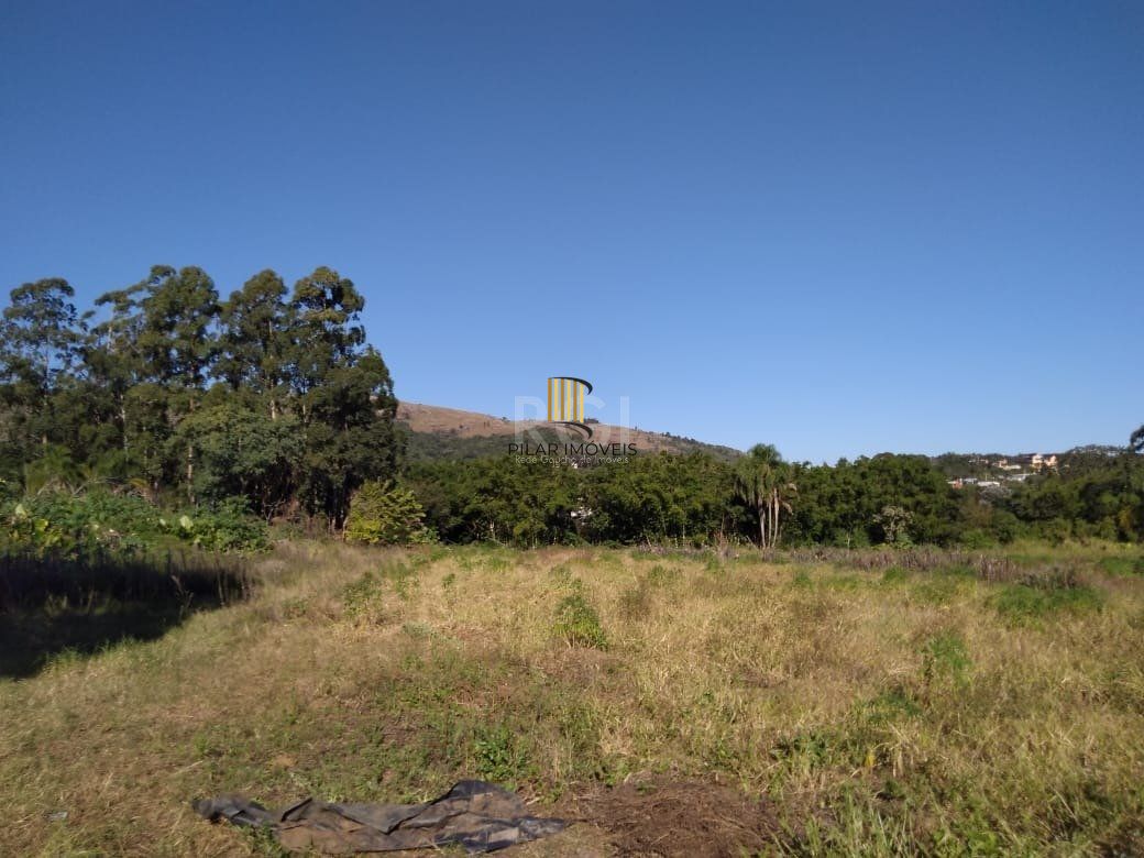 Area para Venda - 36.900m² - Campo Novo