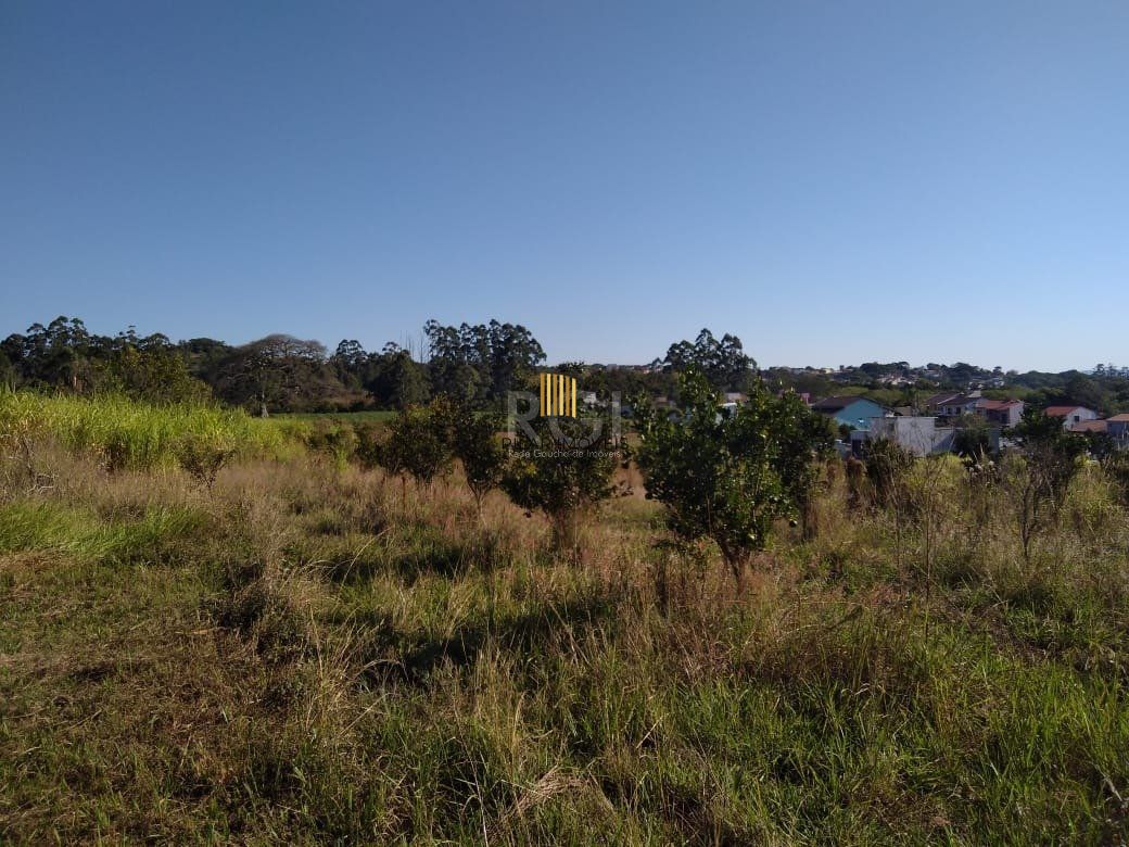 Area para Venda - 36.900m² - Campo Novo